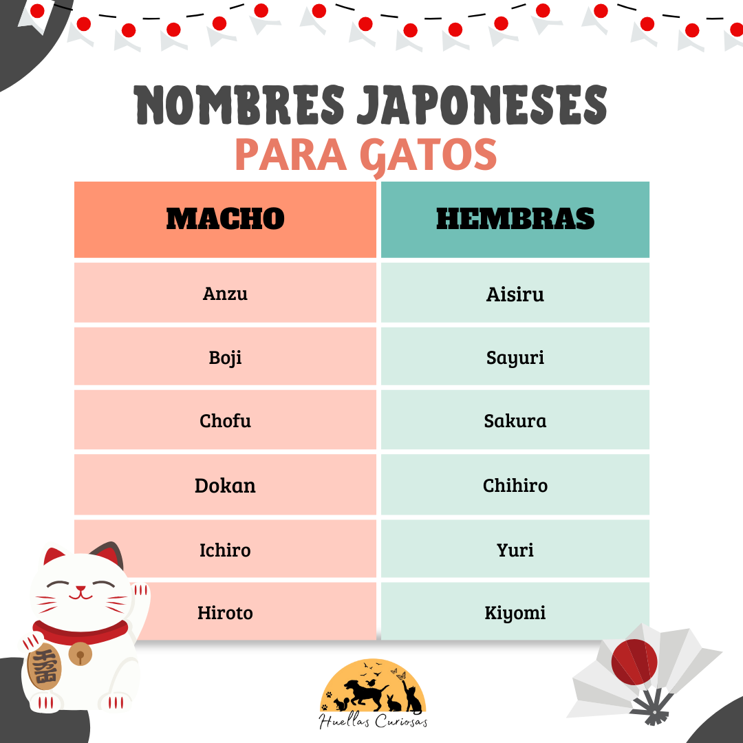 Nombres para gato