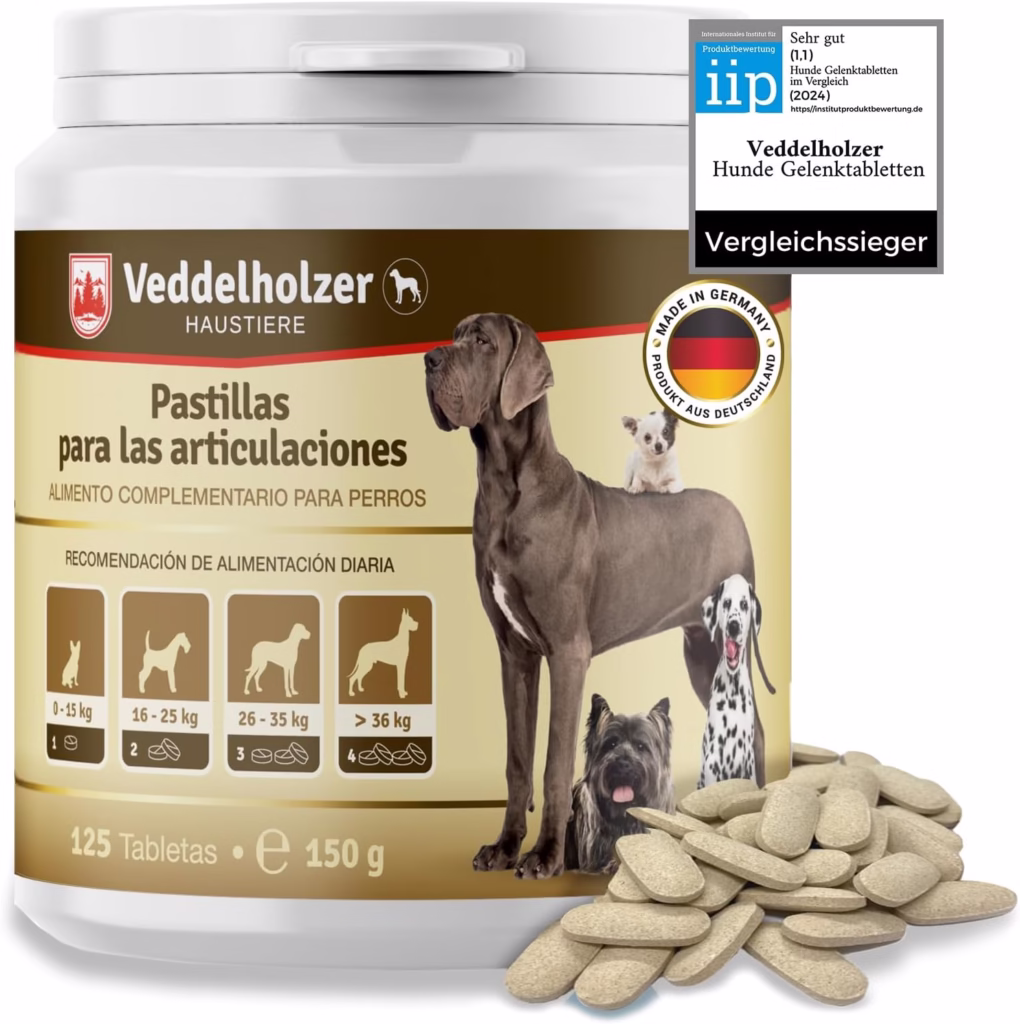 alimentación perros mayores