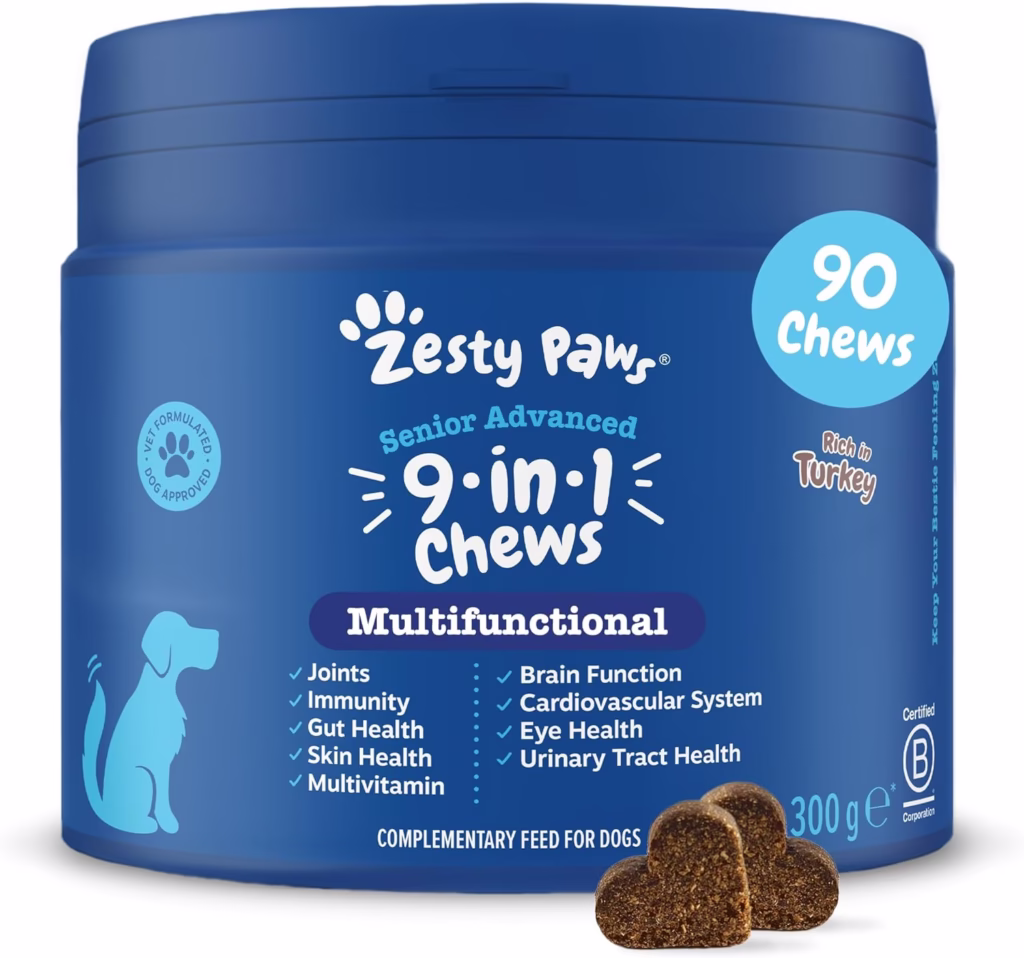 alimentación perros mayores