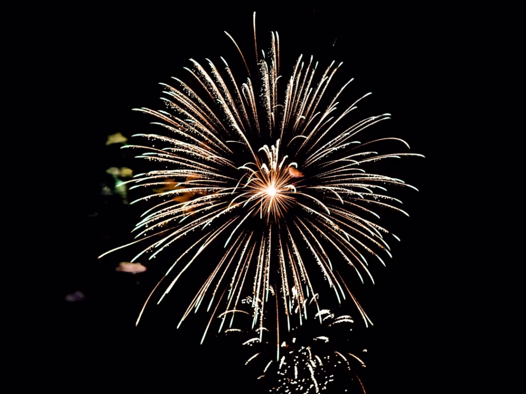 fuegos artificales perros